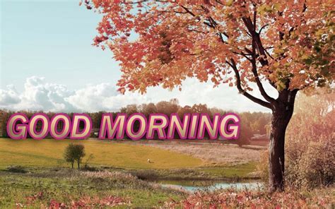 Good Morning Wishes Pictures Images Page 46