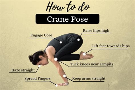 Crane Pose Bakasana How To Do Benefits And Precautions Fitsri Yoga