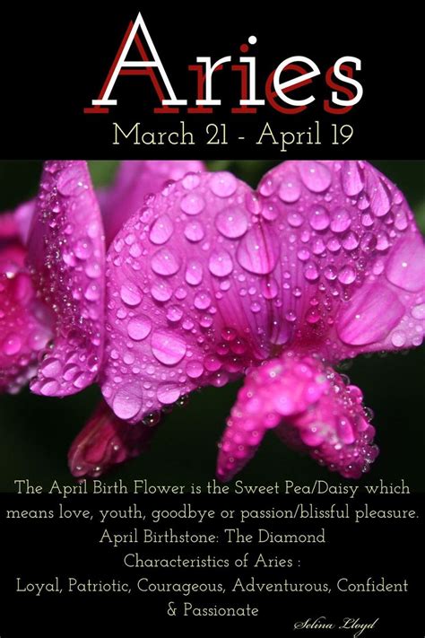 What Are April Birth Flowers Lola Flower