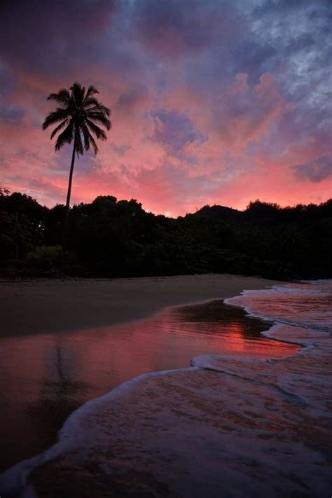 Beautiful Evening Pink Sunset Kauai Island Hawaii Scenery