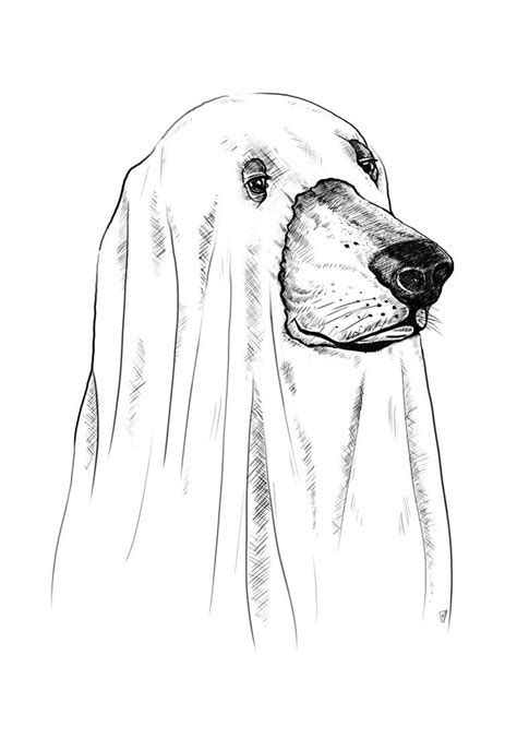 Https://tommynaija.com/draw/how To Draw A Ghost Dog