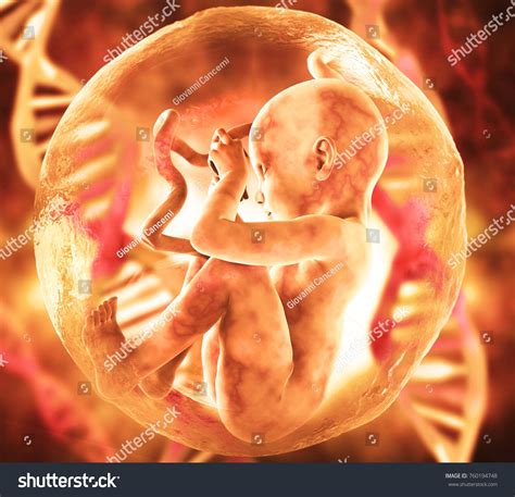 Human Fetus Dna Medical Concept Graphic Stock Illustration 760194748