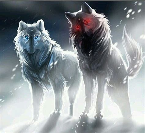 White And Black Wolf Dogs Fantasy Pinterest Black Wolves Wolves