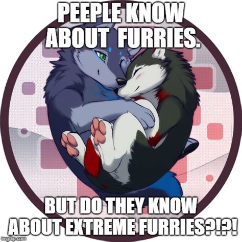 Image Tagged In Furry Imgflip