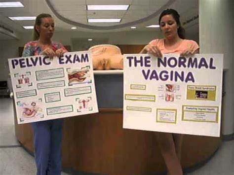 Normal Vagina Pelvic Vulvar Exam SFCC YouTube