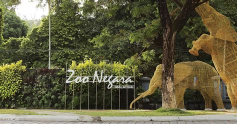 Take the kelana jaya line and get off at wangsa maju station, from there take a taxi to the zoo which is approximately six minutes away. Zoo Negara (National Zoo of Malaysia)