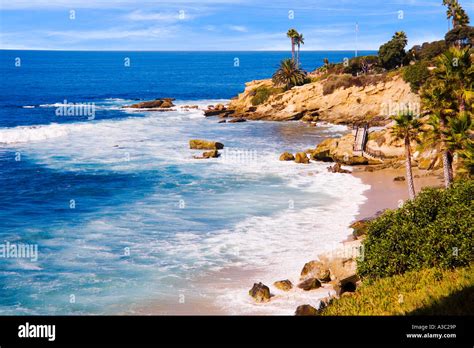 Palm Trees Sway Over The Sandy Beach At Fishermans Cove In Laguna Stock