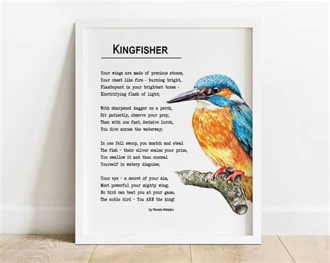Printable Kingfisher Poem By Renata Matejko Printable Etsy Uk Bird