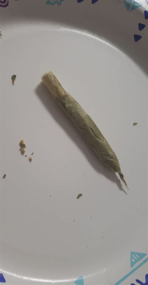 Behold! I rolled my first joint! It's.. very bad! : trees