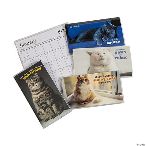 2022 2023 Fat Cats Pocket Calendars 12 Pc Discontinued