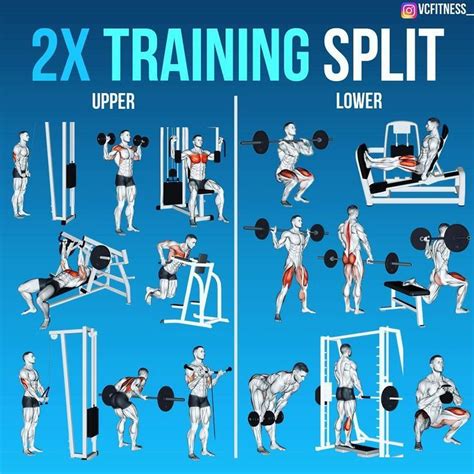 8 Powerful Muscle Building Gym Training Splits Full