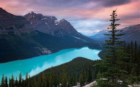 Peyto Lake Wallpaper 4k Mountains Turquoise Evening Sunset Canada