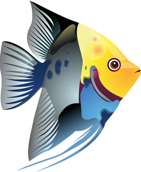 Download Tropical Fish Fish Ocean Royalty Free Vector Graphic Pixabay