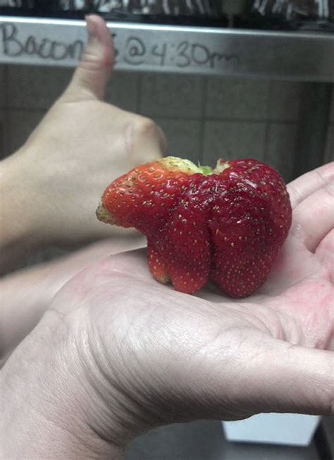 25 Photos Of Unusually Funny Shaped Fruits And Vegetables