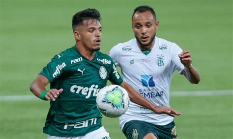 Caligraphy art | fine art america. América-MG x Palmeiras: onde assistir ao vivo, horário do ...