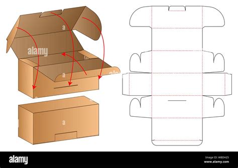 Box Packaging Die Cut Template Design 3d Mock Up Stock Vector Image