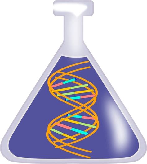 Dna In A Bottle Free Vector In Open Office Drawing Svg Svg Vector