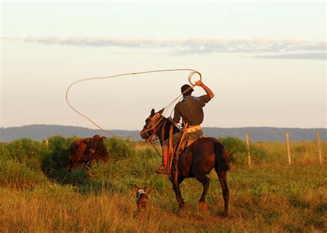 Argentinas Gaucho Cattle Herding At An Estancia Audley Travel Us
