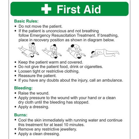 Printable Basic First Aid Chart