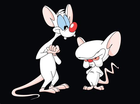 X X Amazing Pinky And The Brain Kb Coolwallpapers Me