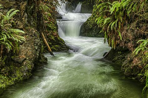 Image Of The Week Rain Forest Waterfall Andrew Bergh Travel Photography