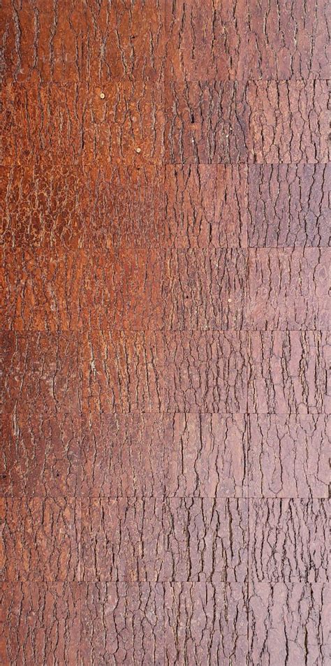 Rough Pine Wall Panels Bark House®