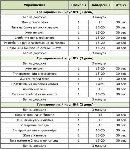 Программа накачаться в тренажерном зале