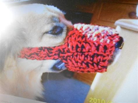 Talking to dog owners about dog bites and the need to introduce a muzzle is hard; Crochet dog muzzle by stephsyaya on Etsy, $7.00 | Dog muzzle, Crochet dog, Diy dog stuff