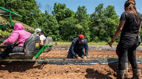 Cory Booker Spends Hours Working On Nj Farm Along Undocumented Workers