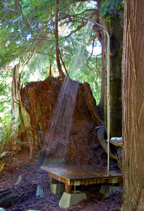 Rustic Cabin Shower Next To Tree Stump Outdoor Shower Rustic Outdoor