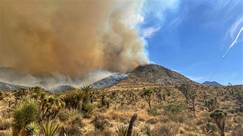 California’s Largest Wildfire of the Year Sweeps Across the Mojave width=