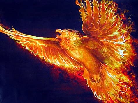 Fofoa The Golden Phoenix