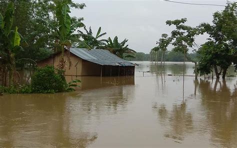 Six More Die In Assam Floods Over 55 Lakh Still Marooned