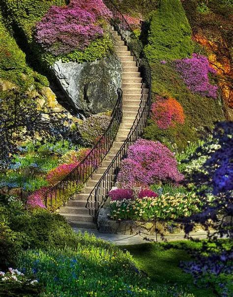 Stairway To Heaven • 1001 Gardens