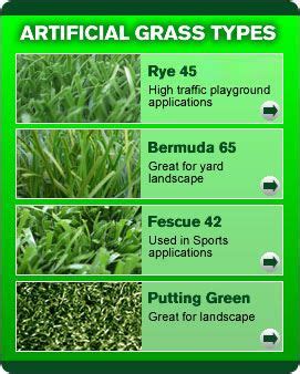 This grass needs a lot of moisture in order to grow and be maintained. Different types of artificial grass | grass types pictures | Artificial Grass | Pinterest ...