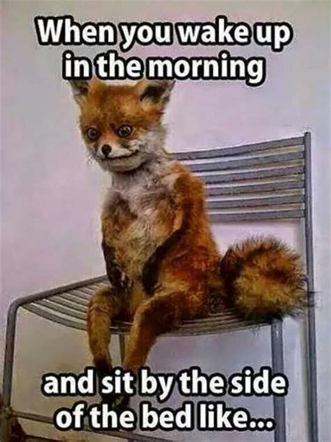 We did not find results for: 71 best work memes images on Pinterest | Laughing, Funny ...