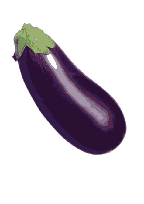 Eggplant Transparent Png Pictures Free Icons And Png Backgrounds