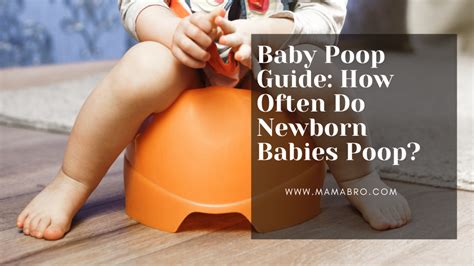 How Often Do Newborn Babies Poop Helpful 101 Guide Mama Bro