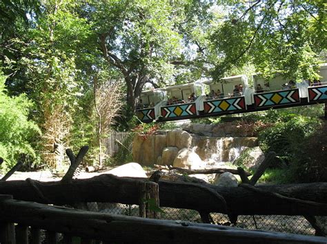 Dallas Zoo Is Largest Zoo In Texas Hubpages