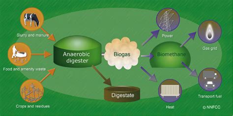 What Is Anaerobic Digestion Green City Times