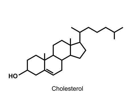 Cholesterol Ter Discussie Antroposofisch Gezondheidscentrum