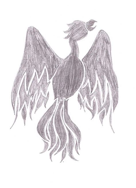 Phoenix Sketch By Zanymyzo On Deviantart