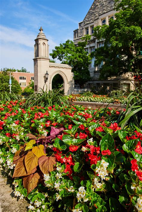 Indiana University-Bloomington Online Master of Business Administration