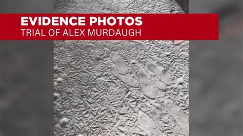 evidence photos shown in murder trial of alex murdaugh youtube
