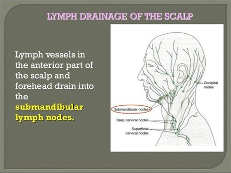 Pin By Allyson Chong On Health Mld Lymphedema Treatment Lymph