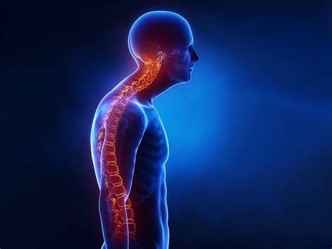 Die wichtigsten Ursachen von Rückenschmerzen - Schlau durchs Leben
