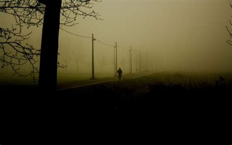Mood Alone Nature Landscapes Trees Fog Dark People Roads