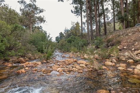 Uitkyk River At Algeria In The Cederberg Mountains Stock Image Image