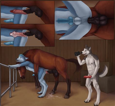 Rule 34 Anal Anal Sex Animal Anthro Bestiality Ass