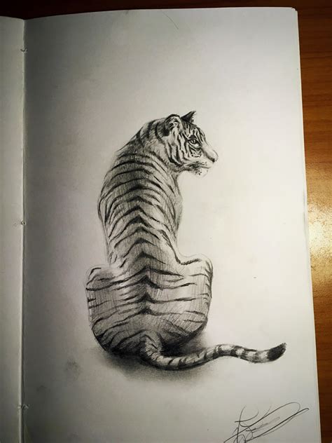 Pencil Sketch Of A Tiger To Me It Looks Okay From A Distance But